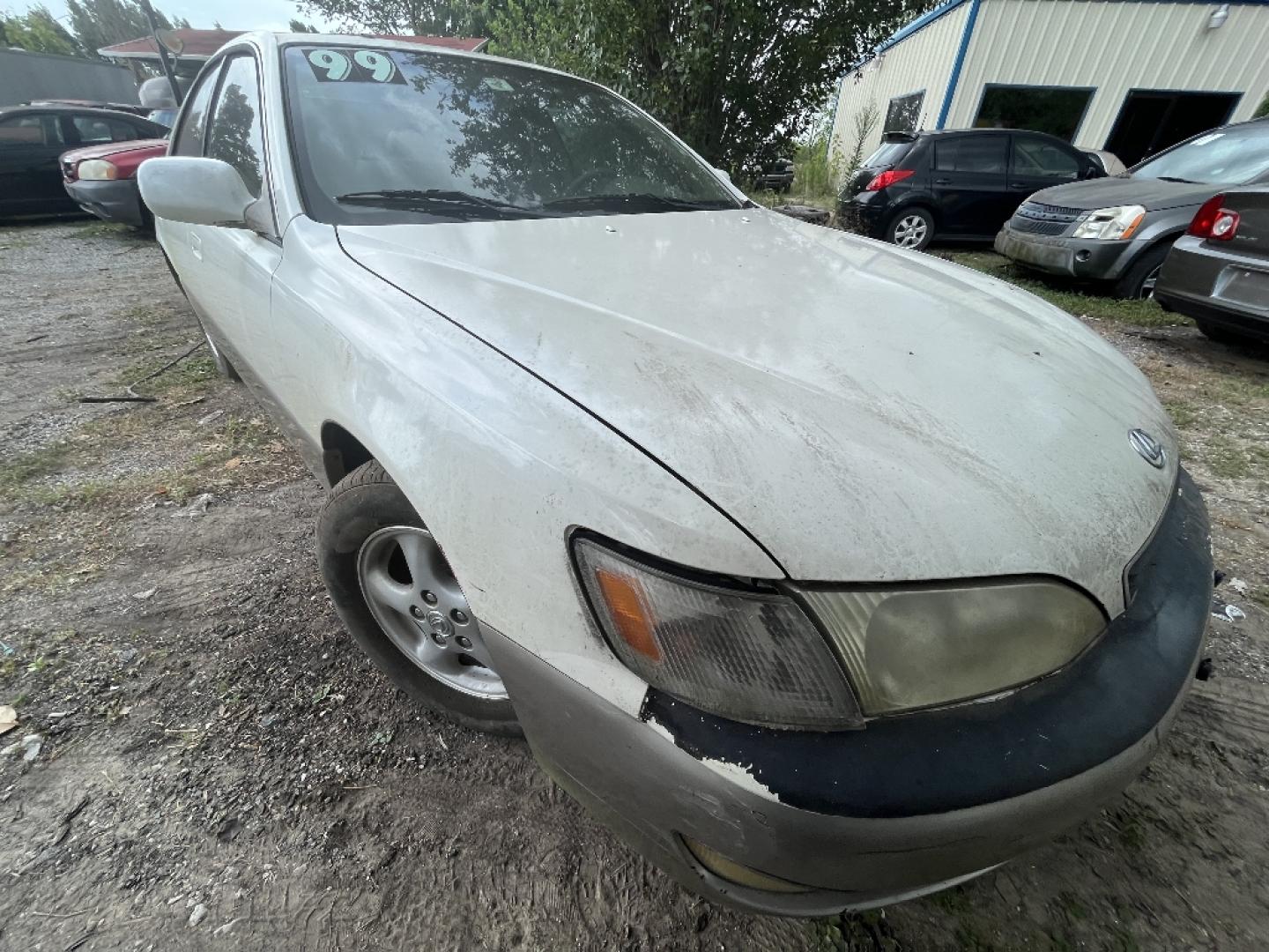 1999 WHITE LEXUS ES 300 Base (JT8BF28G8X0) with an 3.0L V6 DOHC 24V engine, AUTOMATIC transmission, located at 2303 West Mt. Houston, Houston, 77038, (281) 507-3956, 29.771597, -95.339569- Photo#6