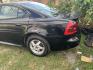 2004 BLACK PONTIAC GRAND PRIX GT2 (2G2WS522X41) with an 3.8L V6 OHV 12V engine, AUTOMATIC transmission, located at 2303 West Mt. Houston, Houston, 77038, (281) 507-3956, 29.771597, -95.339569- Photo#1