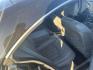 2008 BLACK MERCEDES-BENZ CLS-CLASS CLS550 4-Door Coupe (WDDDJ72X28A) with an 5.5L V8 DOHC 32V engine, AUTOMATIC transmission, located at 2303 West Mt. Houston, Houston, 77038, (281) 507-3956, 29.771597, -95.339569 - Photo#2