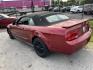 2007 RED FORD MUSTANG V6 Deluxe Convertible (1ZVFT84N575) with an 4.0L V6 SOHC 12V engine, AUTOMATIC transmission, located at 2303 West Mt. Houston, Houston, 77038, (281) 507-3956, 29.771597, -95.339569 - Photo#1