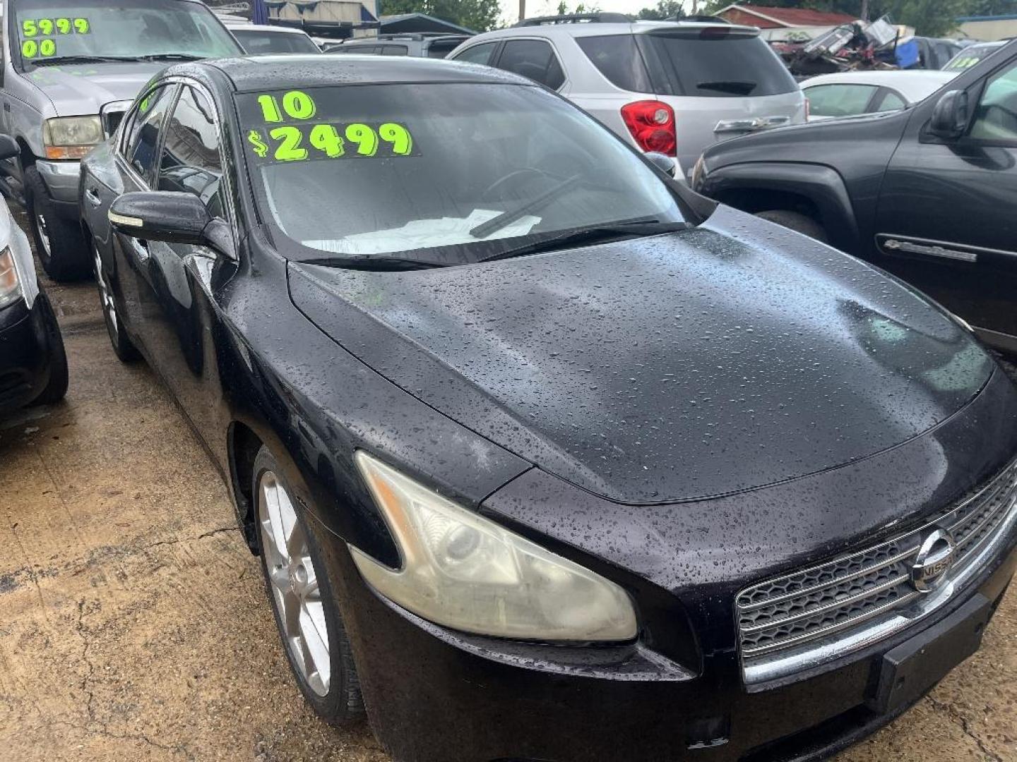 2010 BLACK NISSAN MAXIMA SV (1N4AA5APXAC) with an 3.5L V6 DOHC 24V engine, AUTOMATIC transmission, located at 2303 West Mt. Houston, Houston, 77038, (281) 507-3956, 29.771597, -95.339569 - Photo#0