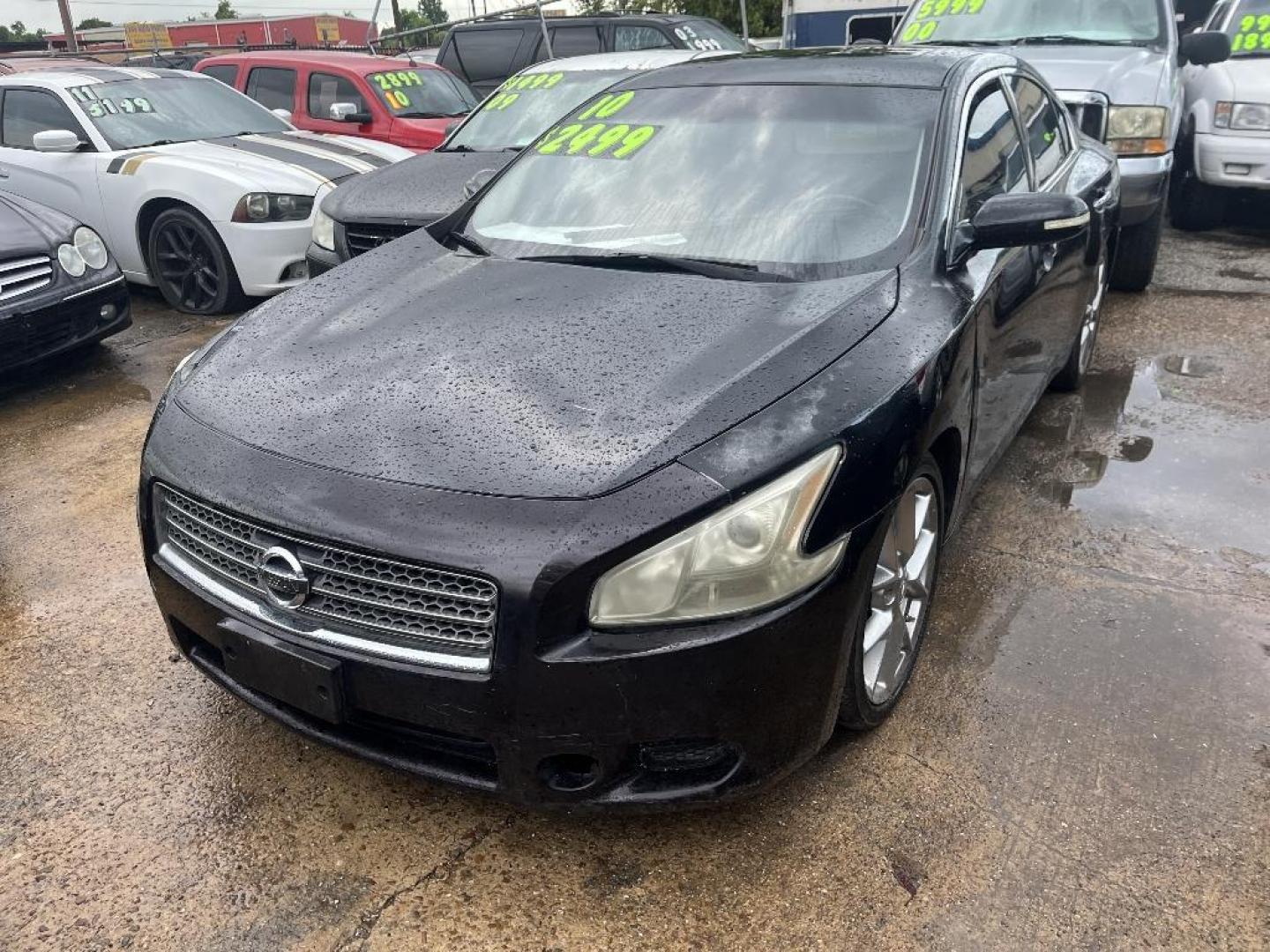 2010 BLACK NISSAN MAXIMA SV (1N4AA5APXAC) with an 3.5L V6 DOHC 24V engine, AUTOMATIC transmission, located at 2303 West Mt. Houston, Houston, 77038, (281) 507-3956, 29.771597, -95.339569 - Photo#2