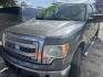 2013 GRAY /GRAY FORD F-150 XLT SuperCrew 6.5-ft. Bed 2WD (1FTEW1CM5DK) with an 3.7L V6 DOHC 24V engine, AUTOMATIC transmission, located at 2303 West Mt. Houston, Houston, 77038, (281) 507-3956, 29.771597, -95.339569- Photo#1